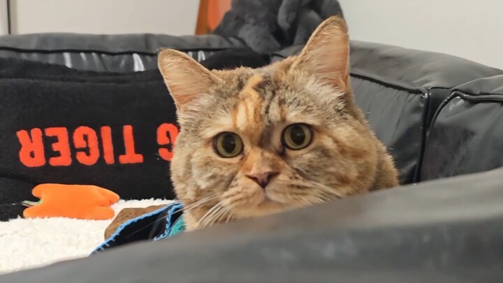 Hidden in here, Mom definitely won’t find me!