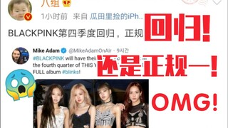 بلاك بينك تعود قريبًا! هل ستعود بألبوم كامل الشهر المقبل؟ تكذيب الشائعات!