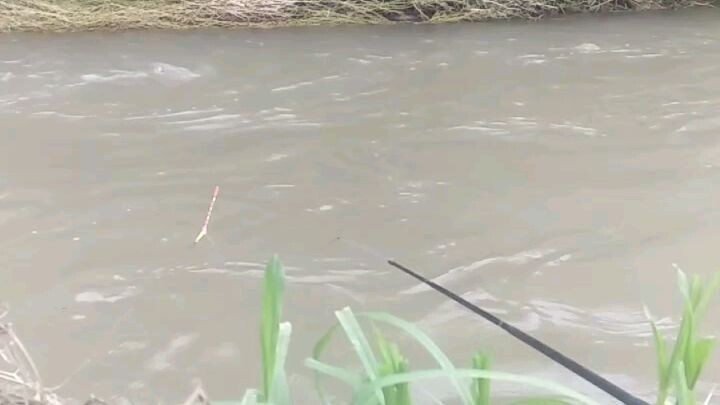 Akhirnya bisa threesome juga 😂🤣