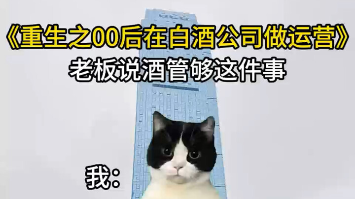 【Meme mèo】Thế hệ 00 dấn thân vào giới rượu trắng, cảm giác khi ông chủ nói “rượu uống thoải mái” là 