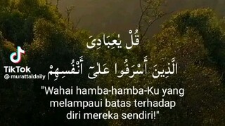 QS. AZ-ZUMAR AYAT 53