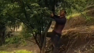 What if I had kept going all along? #MeditationImmortal