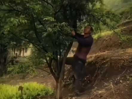 Giá như tôi cứ kiên trì mãi thì sao#Tiên nhân ngồi thiền