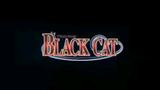 Black Cat Episode 14