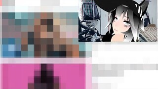 VTUBER Mistakenly Reveals His Browser History