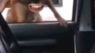 快说你啥也没看见