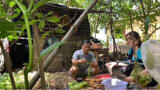 Buổi cơm sáng cùng gia đình với món ăn khoái khẩu lại vừa tốt cho sức khỏe cá lóc hấp rau ngổ