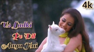Us Ladki Pe Dil Aaya Hai Naam Gum Jaayega Anuradha Paudwal Kumar Sanu Dia Mirza Hits music video