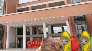 妈妈接你放学VS爸爸接你放学