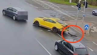 Tai nạn xe hơi do rết khổng lồ cắn