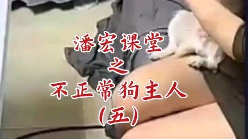 Pan Hong Park’s “Abnormal Dog Owners” (Part 5)
