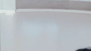 【0o大象o0】Up主探索中，欢迎收看求三连！