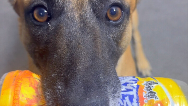 كما هو متوقَّع من لاعب محترف، لا يتردّد قيد أنملة!