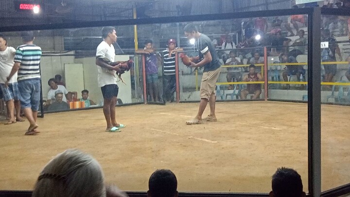 Second Fight Win@Amlan Cockpit