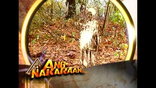 Asian Treasures-Full Episode 31 (Stream Together)