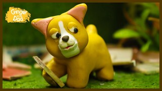 A Warm Dog House - Ginger and Dad - Funny Cats and Dogs Youtube #gingercat3s