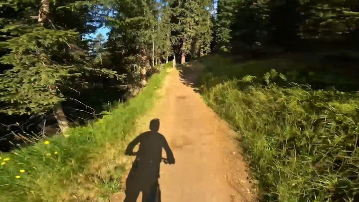 Cô đơn không phải là cô quạnh, mà chỉ là một sự lắng đọng của tâm hồn.