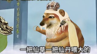 Saat Qing Niu Jing menerima misinya