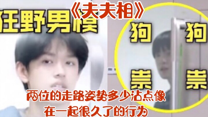 男高吃醋，驾驭不住张极用实力证明了恋爱脑废队友，这恋爱的酸臭味好强烈【极禹】