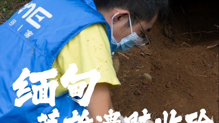 Can the spirits of the Expeditionary Force, wandering in Myanmar, finally return home to rest in pea