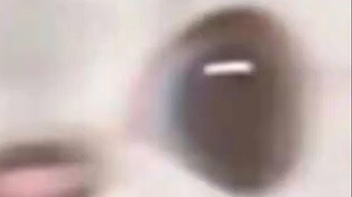 Sebuah video menunjukkan bahwa data Conan dan Ai tidak sebagus sebelumnya. Mereka mulai dengan mengh