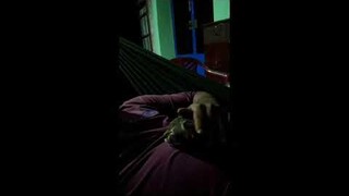 meo meo rửa mặt như mèo dễ thương thú cưng - Ngoc Khôi TV - tập 8 #NgockhoiTV