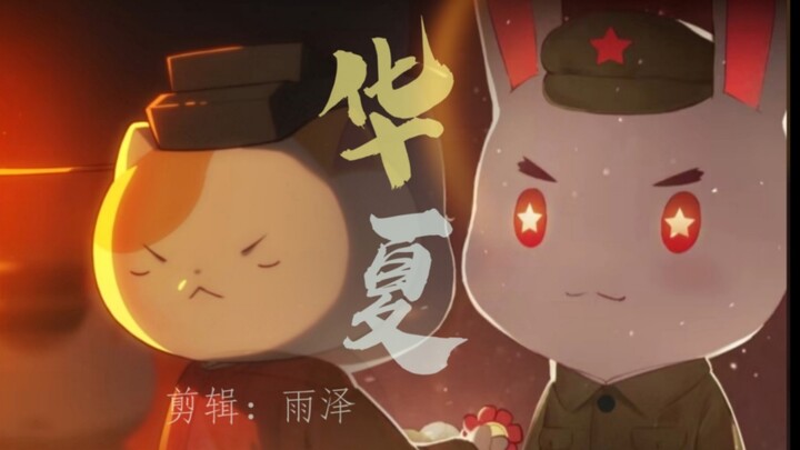 【如果历史是一群喵X那年那兔那些事】高燃混剪