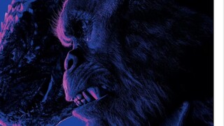 Godzilla vs. Kong 2 had a budget of only $135 million, the lowest in the series.