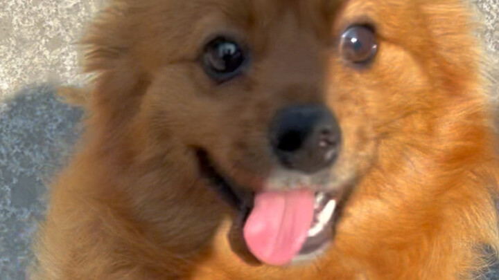 I called you Xiao Ke and you actually responded