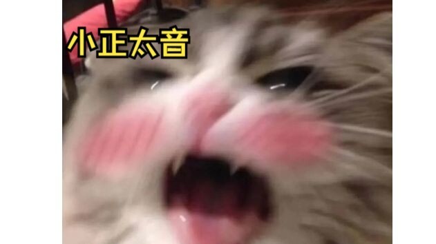 不！可！以！涩！涩！