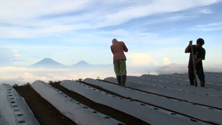 NEGERI DI BAWAH KABUT