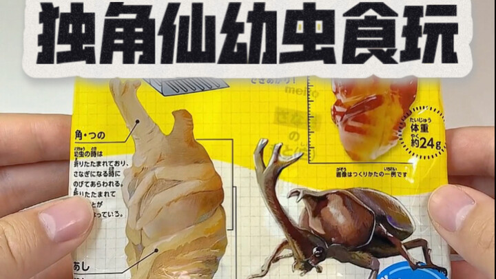 [Japanese Rhinoceros Beetle Larva Toy] Is It Disgusting Enough for You?