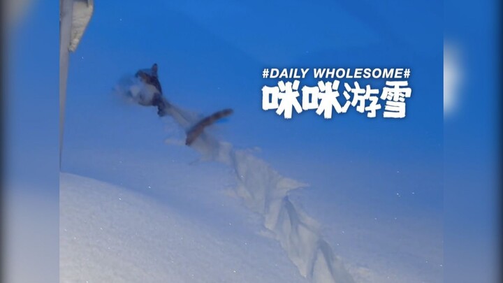 Mimi lần đầu tiên đi trượt tuyết