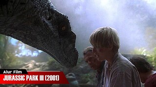 DIKEJAR MONSTER YANG LEBIH MENGERIKAN DARI T-REX | ALUR CERITA FILM JURASSIC PARK III (2001)