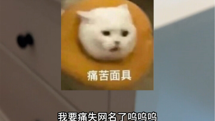 Aaaaaa, mất biệt danh trên mạng thì có khác gì chạy trốn trên Internet không?