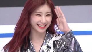 The little fox has a bad idea