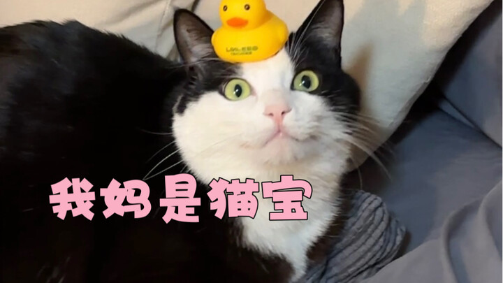 I’ve admitted that I’m a “cat-loving girl.”