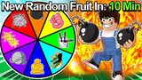 BLOX FRUITS BUT YOU GET A RANDOM FRUIT EVERY 10 MINUTES!