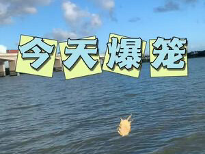 Today is incredible. The turtle cleaners have escaped their enclosure! #Outdoor #NewAgriculturalTale