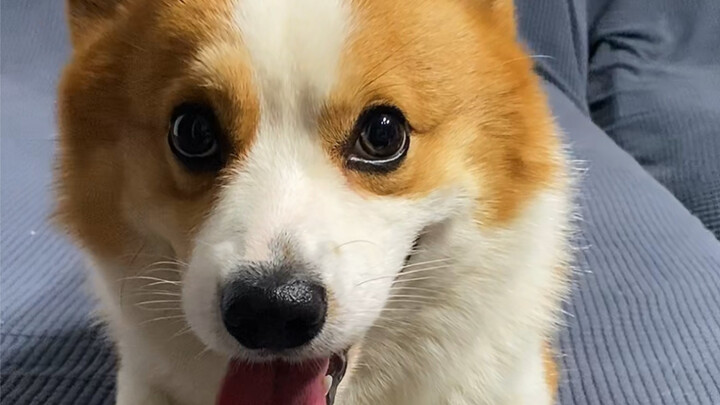 今天给你看看什么叫饭前的仪式感