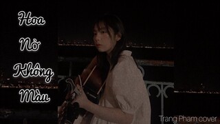 HOA NỞ KHÔNG MÀU - Hoài Lâm | Trang Phạm (cover guitar)