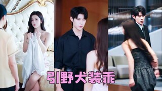 Kết Hôn 1 Năm, Anh Theo Tình Cũ Ra Nước Ngoài – Đến Khi Nhận Đơn Ly Hôn, Mới Biết Mình Mất Gì!