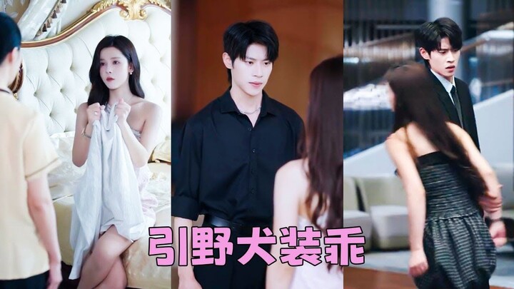Kết Hôn 1 Năm, Anh Theo Tình Cũ Ra Nước Ngoài – Đến Khi Nhận Đơn Ly Hôn, Mới Biết Mình Mất Gì!