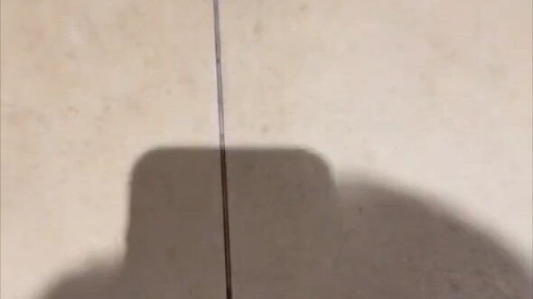 Kenapa ada orang bawa sendok ke toilet?