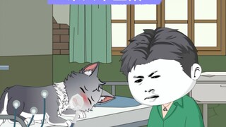 Treatment for female wolves