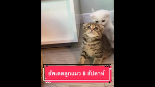 แดงเป็นนักสู้เขียวเป็นนักซิ่ง😂😂