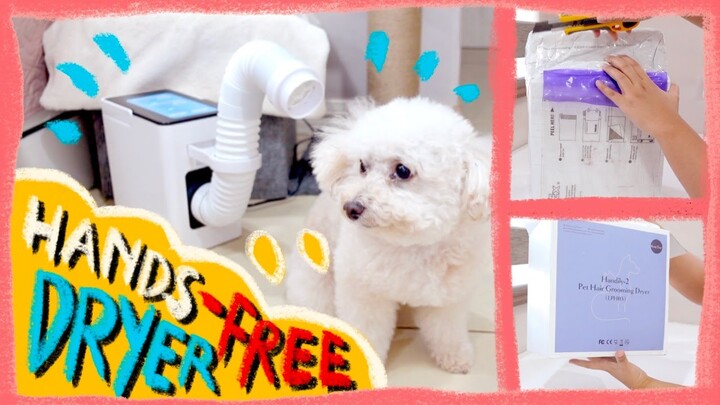 ASMR Unboxing Our Petietec Hands Free Pet Dryer| Hands-Free Dog Blow Dryer| The Poodle Mom