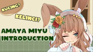 Let's Know Amaya Miyu in 5 minutes