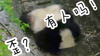 人家挖煤，你挖下水道，要不要给你报个给排水专业？（大熊猫润九）