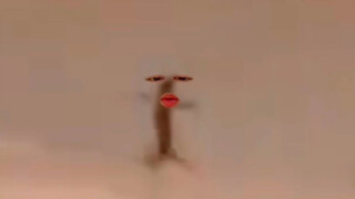 أبو بريص واقف